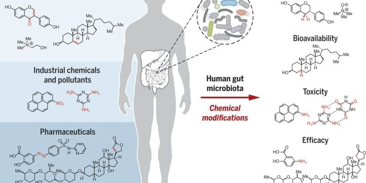Xenobiotics