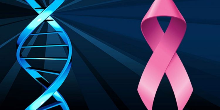 breast cancer genetic